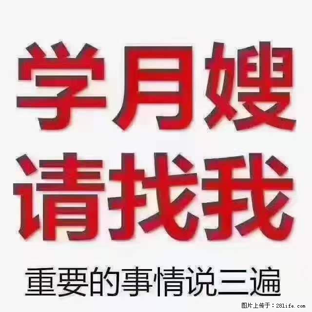 为什么要学习月嫂，育婴师？ - 其他广告 - 广告专区 - 晋中分类信息 - 晋中28生活网 jz.28life.net