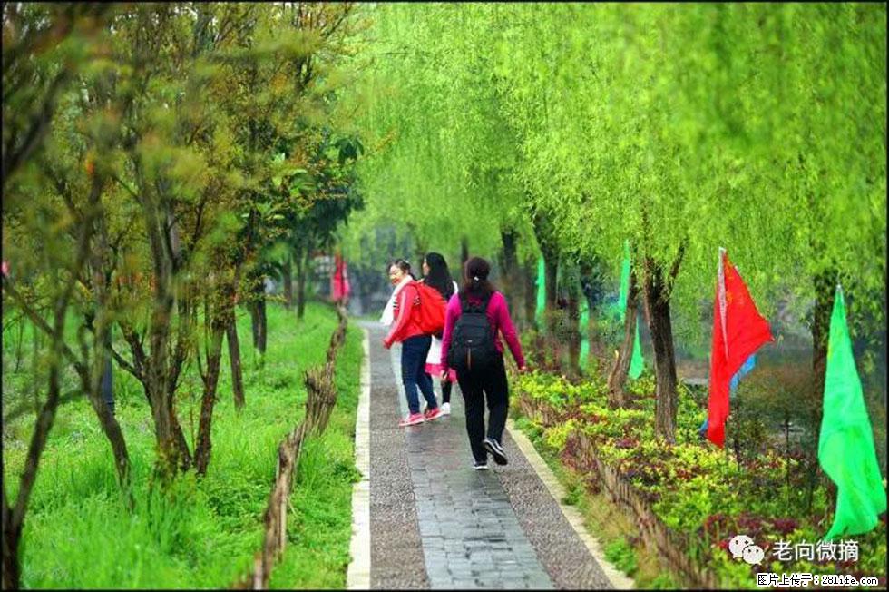 【春天，广西桂林灌阳县向您发出邀请！】江口老街又逢春 - 游山玩水 - 晋中生活社区 - 晋中28生活网 jz.28life.net