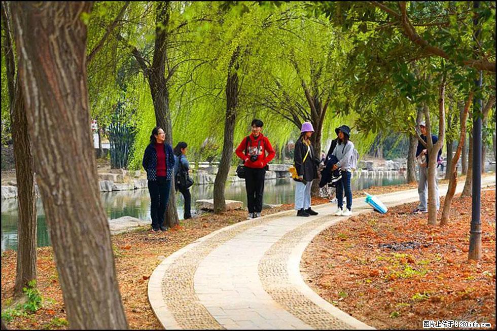 【春天，广西桂林灌阳县向您发出邀请！】江口老街又逢春 - 游山玩水 - 晋中生活社区 - 晋中28生活网 jz.28life.net
