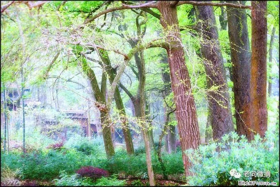 【春天，广西桂林灌阳县向您发出邀请！】在小龙村与春天约会 - 游山玩水 - 晋中生活社区 - 晋中28生活网 jz.28life.net