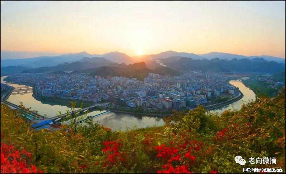 【春天，广西桂林灌阳县向您发出邀请！】登麒麟山，相约映山红 - 游山玩水 - 晋中生活社区 - 晋中28生活网 jz.28life.net