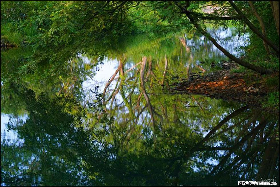 【春天，广西桂林灌阳县向您发出邀请！】熊家寨湿地公园 - 游山玩水 - 晋中生活社区 - 晋中28生活网 jz.28life.net
