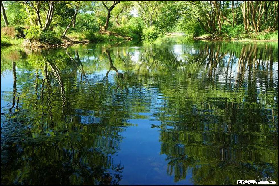 【春天，广西桂林灌阳县向您发出邀请！】熊家寨湿地公园 - 游山玩水 - 晋中生活社区 - 晋中28生活网 jz.28life.net