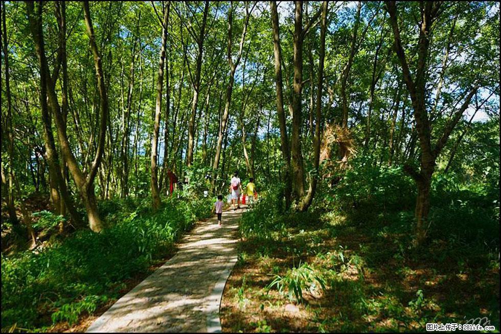 【春天，广西桂林灌阳县向您发出邀请！】熊家寨湿地公园 - 游山玩水 - 晋中生活社区 - 晋中28生活网 jz.28life.net