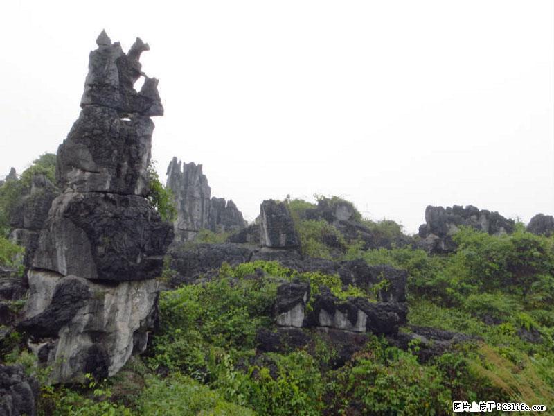 桂林旅游名城景点：灌阳文市石林 - 游山玩水 - 晋中生活社区 - 晋中28生活网 jz.28life.net