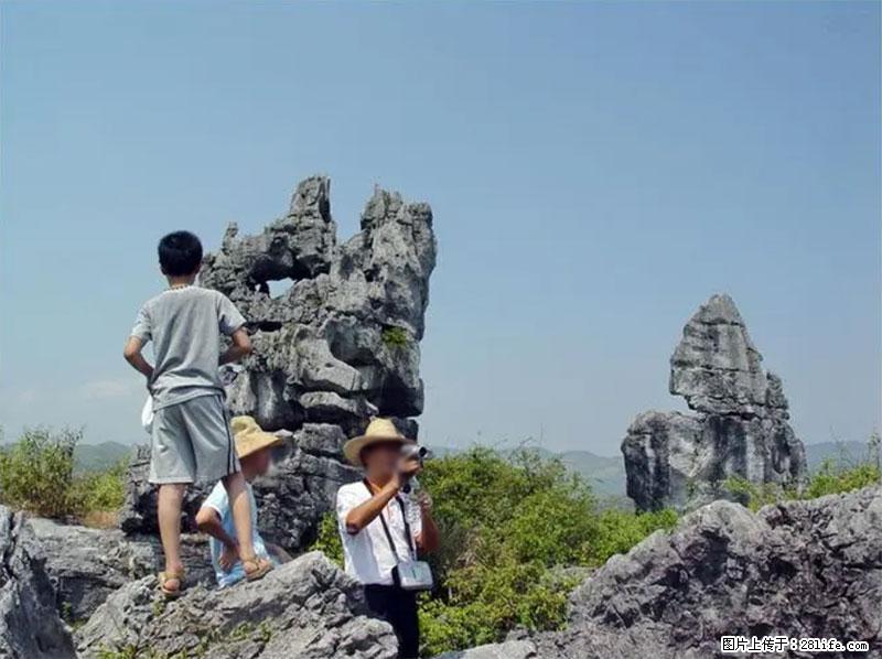 桂林旅游名城景点：灌阳文市石林 - 游山玩水 - 晋中生活社区 - 晋中28生活网 jz.28life.net