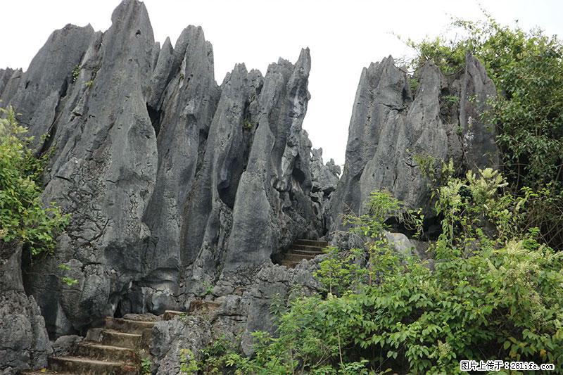 桂林旅游名城景点：灌阳文市石林 - 游山玩水 - 晋中生活社区 - 晋中28生活网 jz.28life.net