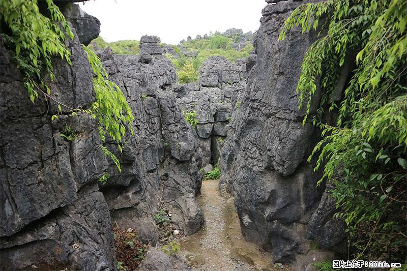 桂林旅游名城景点：灌阳文市石林 - 游山玩水 - 晋中生活社区 - 晋中28生活网 jz.28life.net