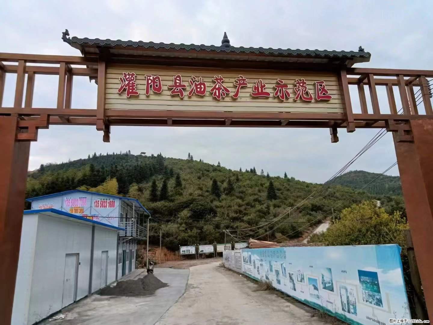 【灌阳县油茶产业示范区】一个有着充实的精神生活的人，对待身外之物自会有一种淡泊的态度 - 美食天地 - 晋中生活社区 - 晋中28生活网 jz.28life.net
