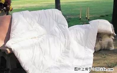 被子有异味？只要这样做，比晒太阳还强100倍！ - 家居生活 - 晋中生活社区 - 晋中28生活网 jz.28life.net