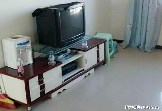 新汇通路窑上加油站旁 泰和小区 精装拎包看房随时 - 晋中28生活网 jz.28life.net