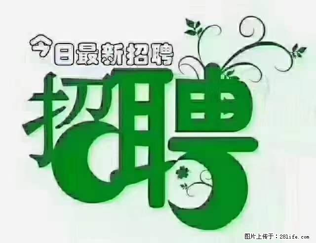 上海青浦区招仓管 - 职场交流 - 晋中生活社区 - 晋中28生活网 jz.28life.net