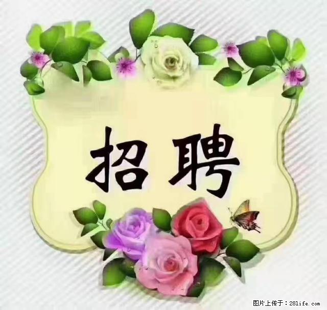 【招聘】住家育儿嫂，上户日期：4月4日，工作地址：上海 黄浦区 - 职场交流 - 晋中生活社区 - 晋中28生活网 jz.28life.net