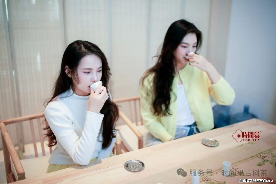 时间果百年古树龙珠普洱生茶 - 购物交流 - 晋中生活社区 - 晋中28生活网 jz.28life.net