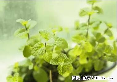 晕车、脚气、牙齿变黄、皮肤粗糙？学会这些三分钟搞定！ - 晋中生活资讯 - 晋中28生活网 jz.28life.net