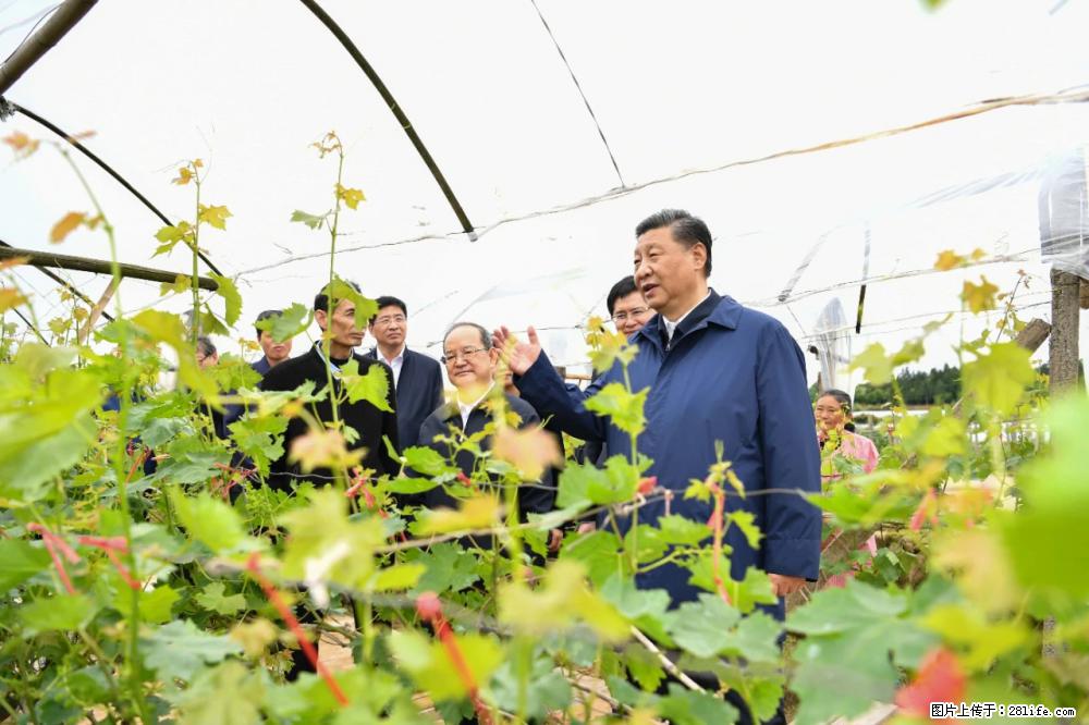 习近平赴广西考察调研 - 晋中生活资讯 - 晋中28生活网 jz.28life.net