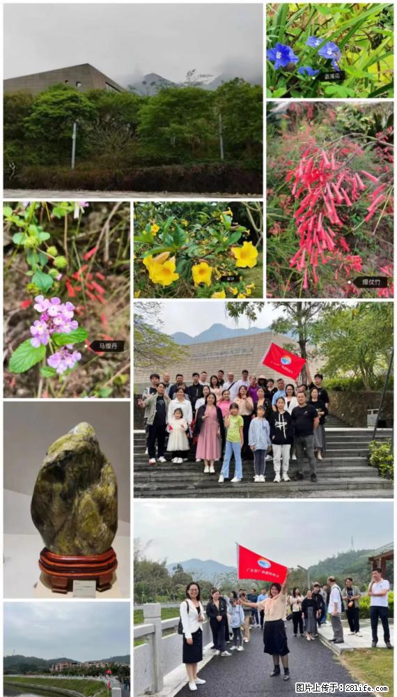 “粤灌文化 美好生活”油茶文化主题活动在广东深圳成功举办 - 晋中生活资讯 - 晋中28生活网 jz.28life.net