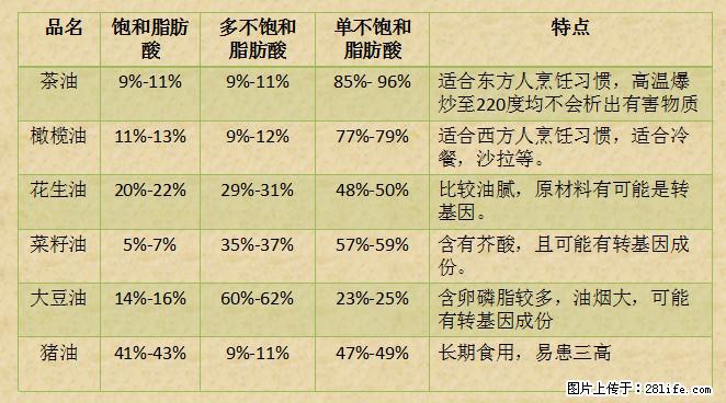 揭秘茶油的5大核心营养成分！被称为人体健康的“守护盾”！ - 晋中生活资讯 - 晋中28生活网 jz.28life.net