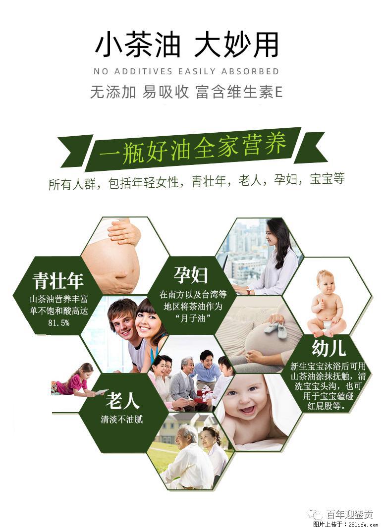 世界没有真相，只有认知，最好的食用油是中国的山茶油！ - 晋中生活资讯 - 晋中28生活网 jz.28life.net