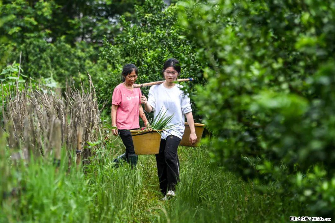 全网追的“扁担女孩”，找了一份暑假工，时薪12元 - 晋中生活资讯 - 晋中28生活网 jz.28life.net