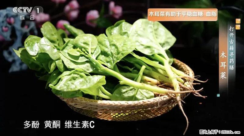 比牛奶补钙还厉害！凉血解毒、稳血糖...这菜冬天必吃，很多人却当草 - 晋中生活资讯 - 晋中28生活网 jz.28life.net